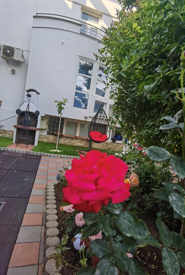 Fitness House With Garden Hotel Constança Exterior foto