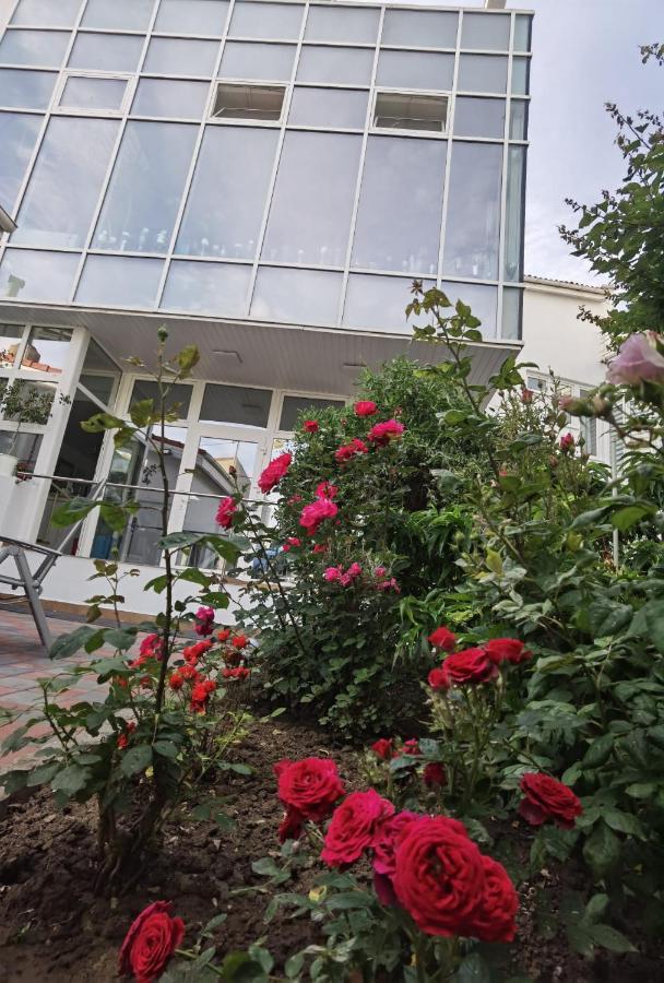 Fitness House With Garden Hotel Constança Exterior foto